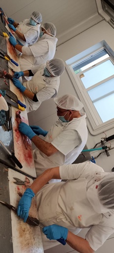 Venta y manipulación de productos de pescadería