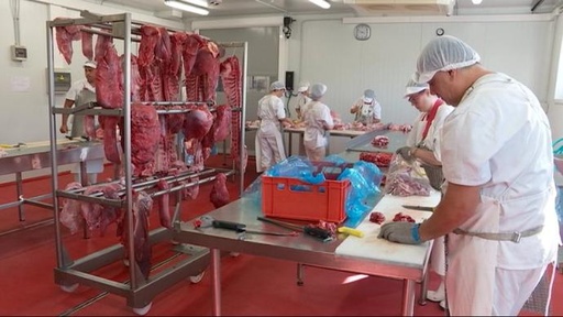 Certificado de profesionalidad de Carnicería y elaboración de productos cárnicos