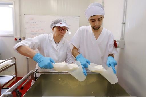 Curso de especialidad: Elaboración de quesos